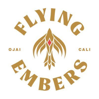 Flying Embers Hard Kombucha