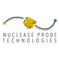 Nuclease Probe Technologies