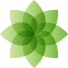Internet Publishing Group