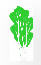 Birch Tree Medical