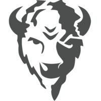 Bison