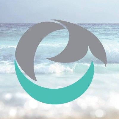 FlipperSplash