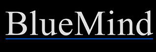 Blue Mind Capital