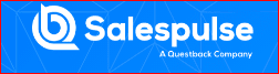 Questback Salespulse