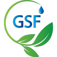 Global Sustainable Future