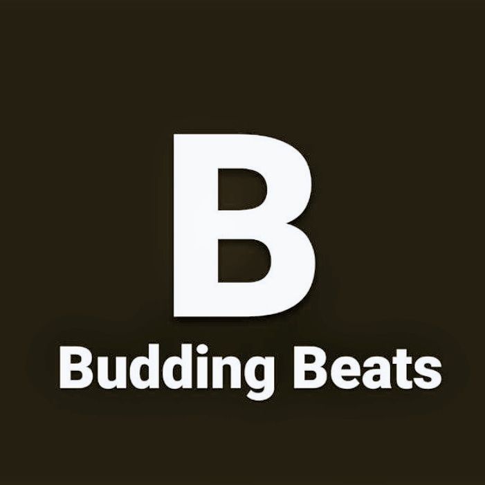 Budding Beats Magazine