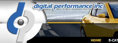 Digital Performance