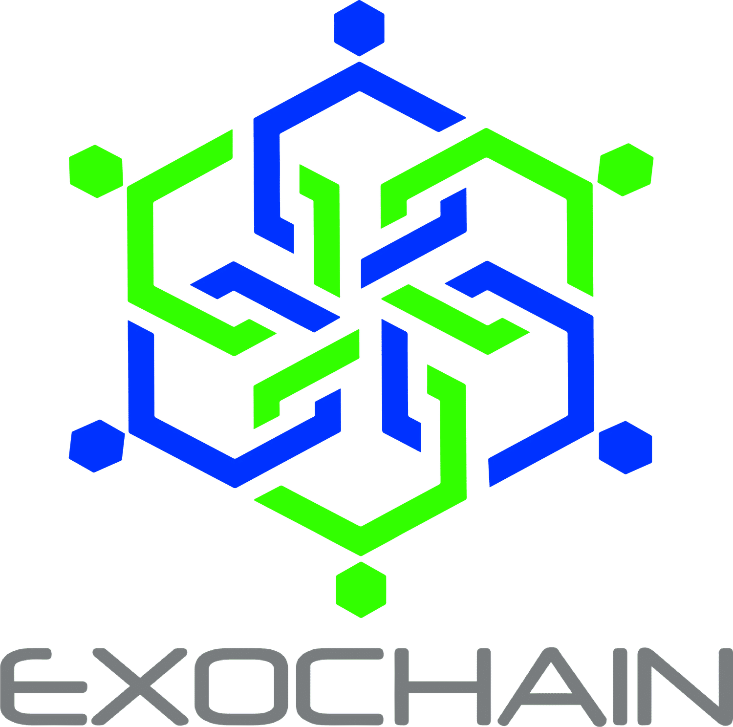 Exochain