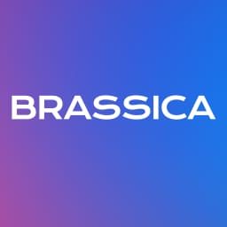 Brassica Finance