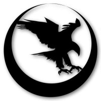 Nighthawk Custom
