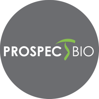 Prospect Bio