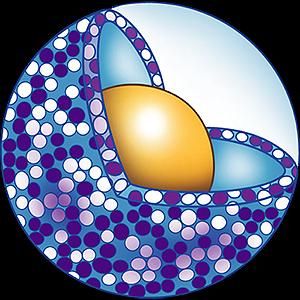 BlueWillow Biologics