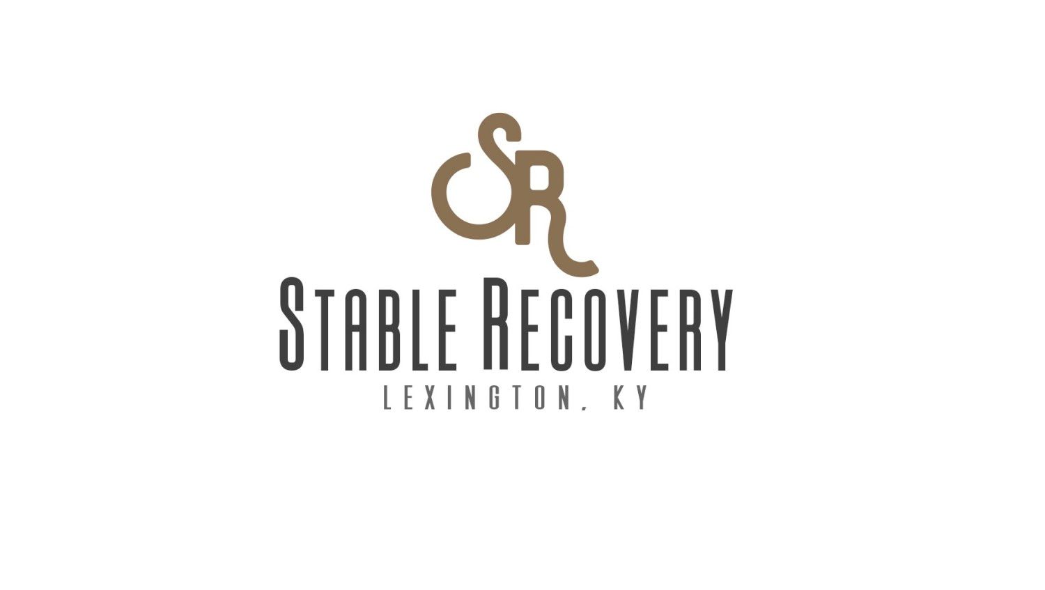 Stable Recovery