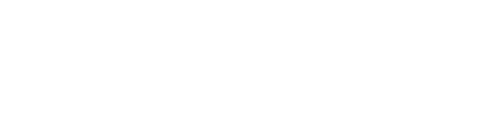 Suic Worldwide Holdings