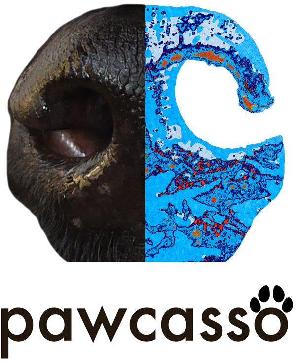 Pawcasso