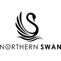 Northern Swan