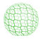 Algae International Group