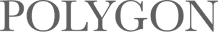 Polygon Investment Partners