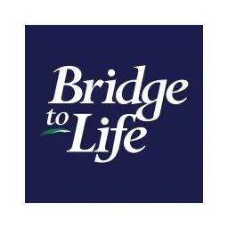 Bridge to Life