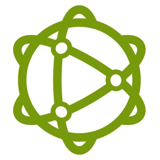 Spatial Networks