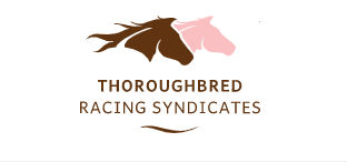 Thoroughbred Racing Syndicates