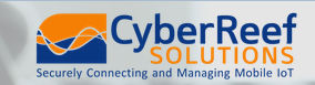 CyberReef Solutions