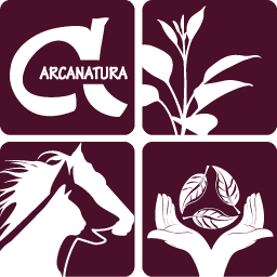 Arcanatura