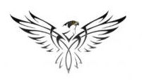 Falcon Therapeutics