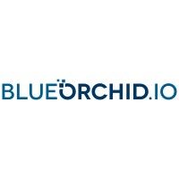 BlueOrchid
