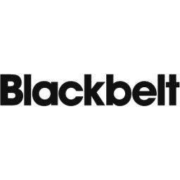 Blackbelt.ai