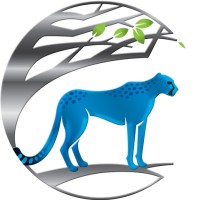 Massively Parallel Technologies