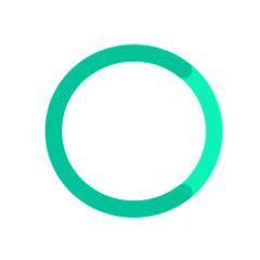 Circle Optics