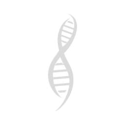 Julius Technologies
