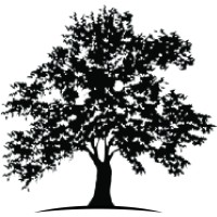 White Oak Financial