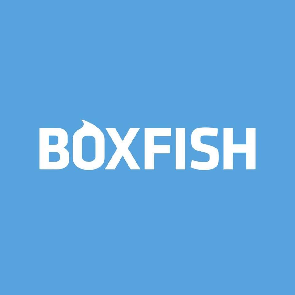Boxfish
