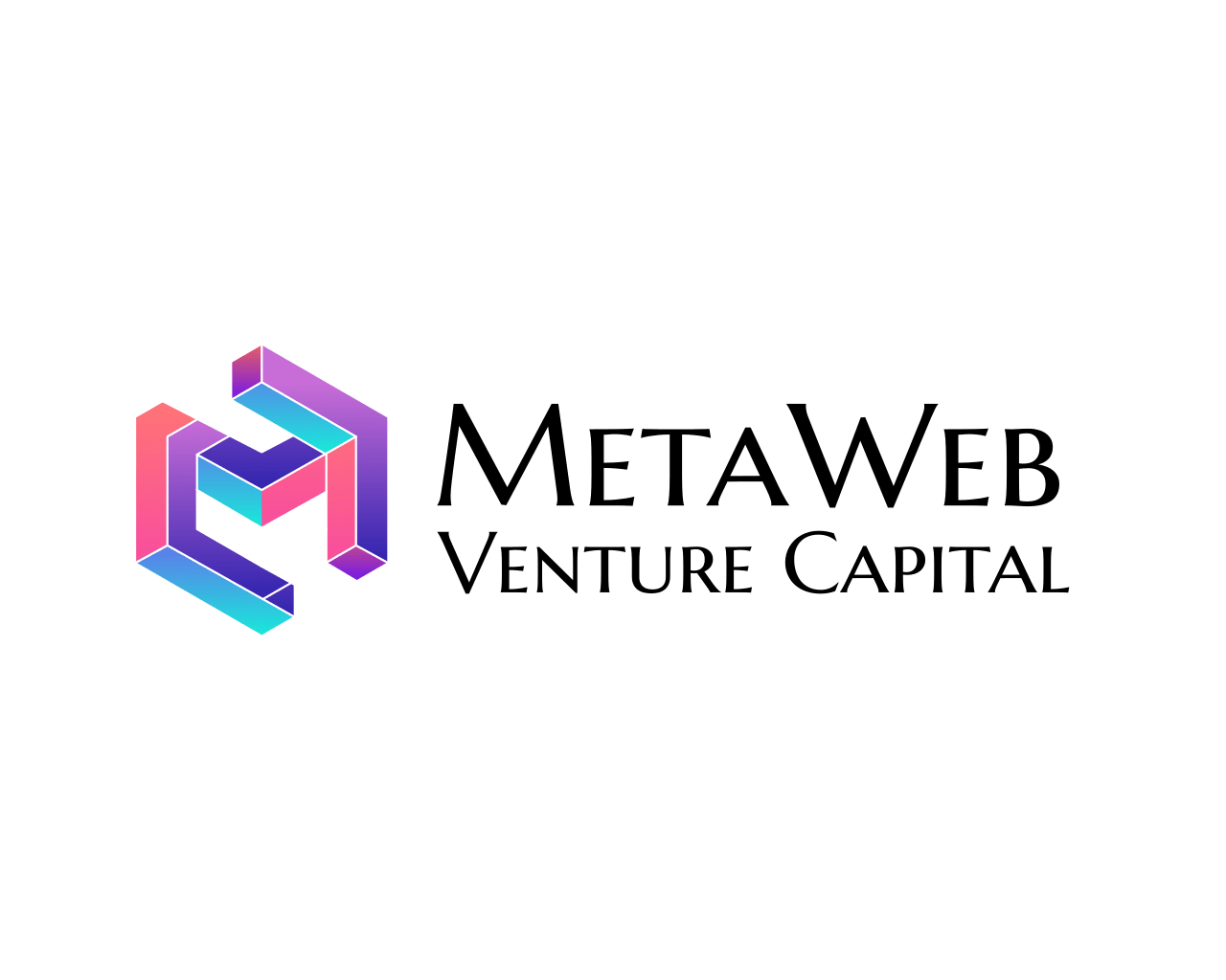 MetaWeb Ventures