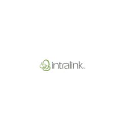 Intralink-Spine