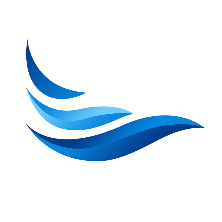 Bleu Capital