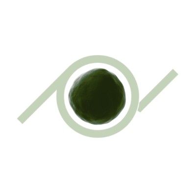 Pneuma
