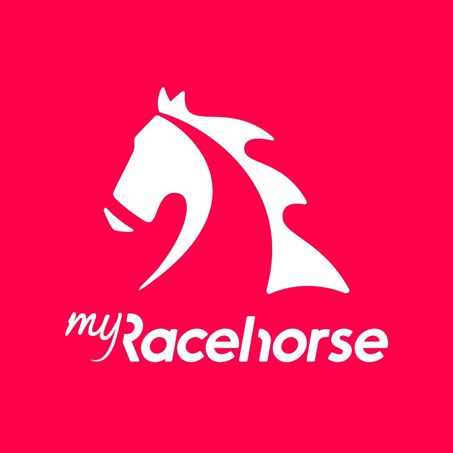 My Racehorse
