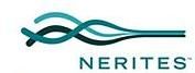 Nerites