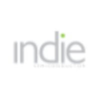 indie Semiconductor