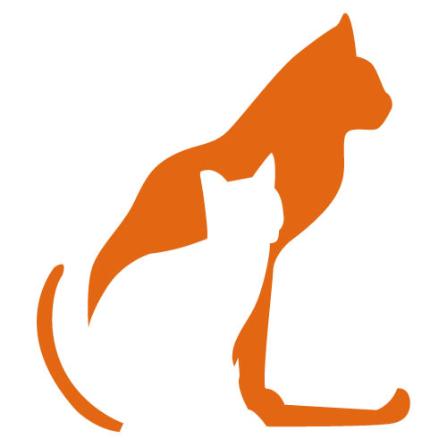 Crittersitca.com