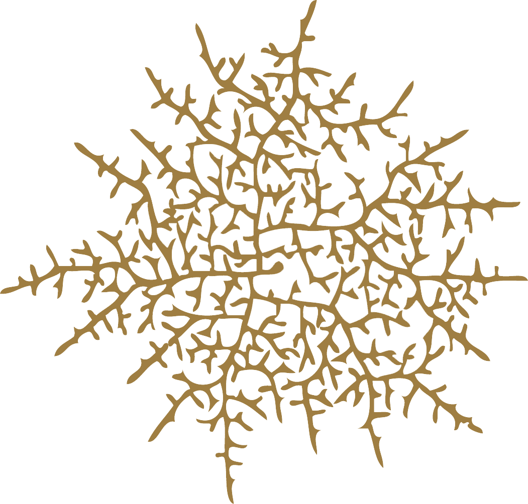 Hyphae