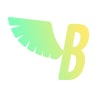 Brave Ventures