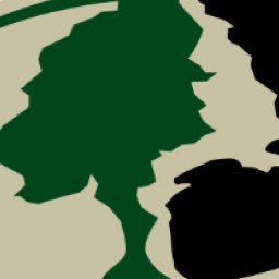 Mossy Oak