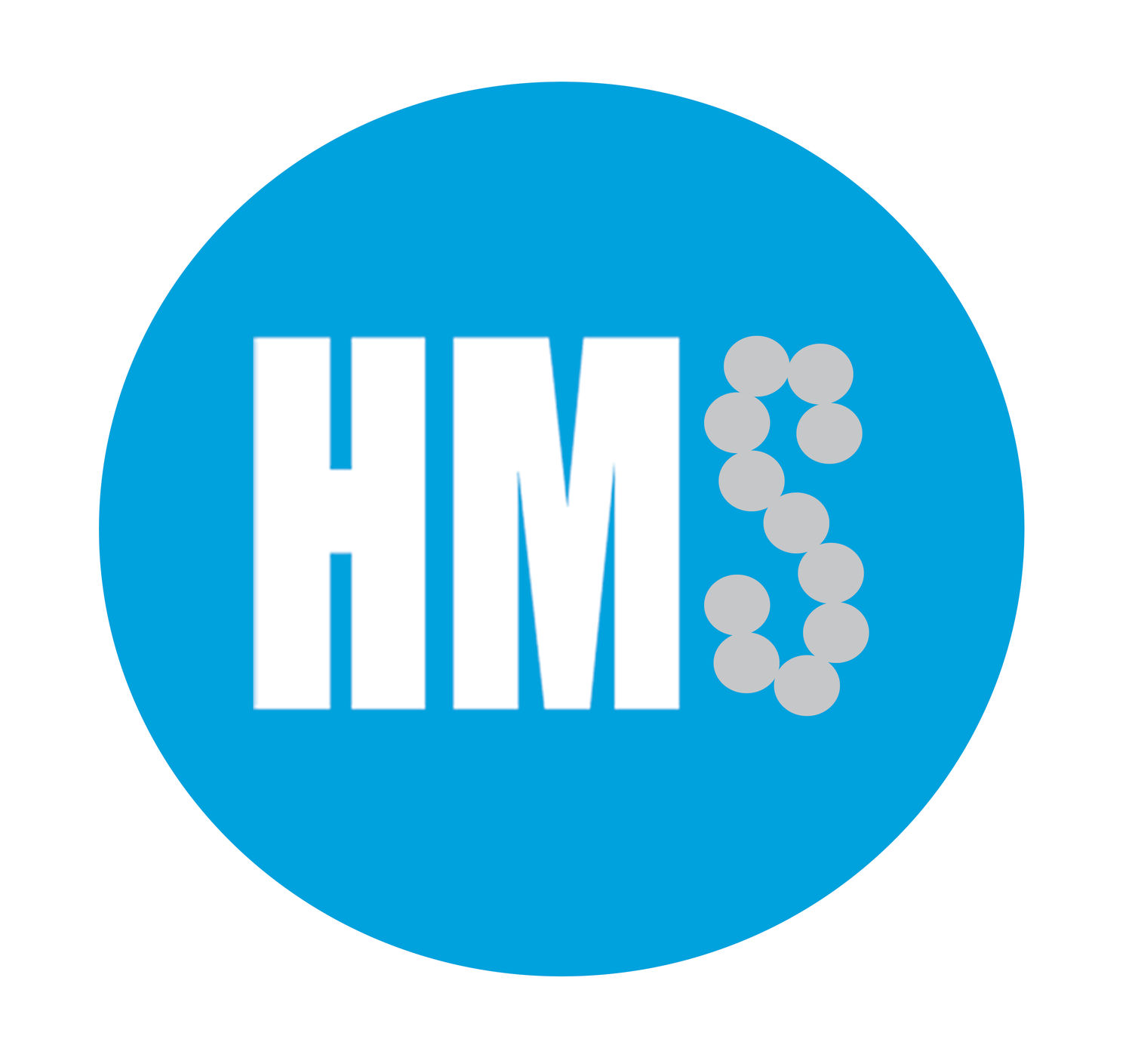 Hmsolution