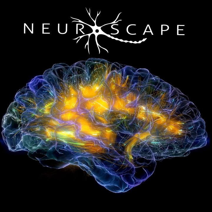 Neuroscape