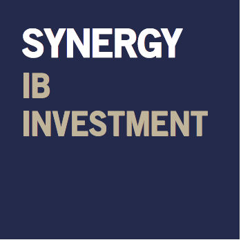 Synergy IB Investment