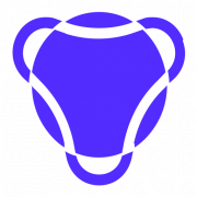 AI Vehicle Damage Assessment logo